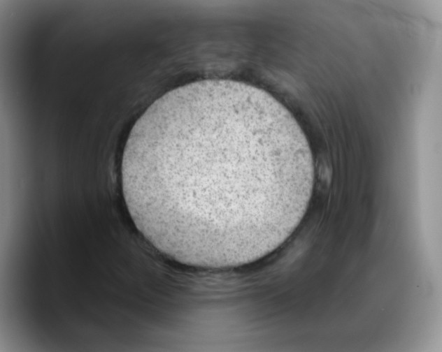 X0000089701252200707201733