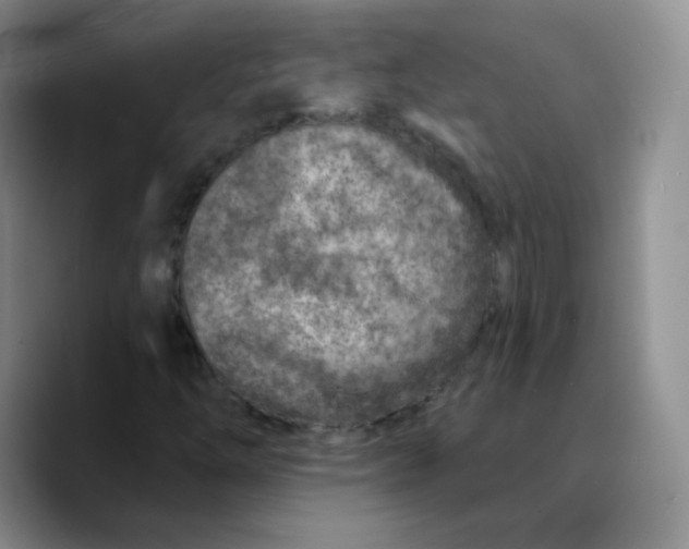 X0000089701254200707201733
