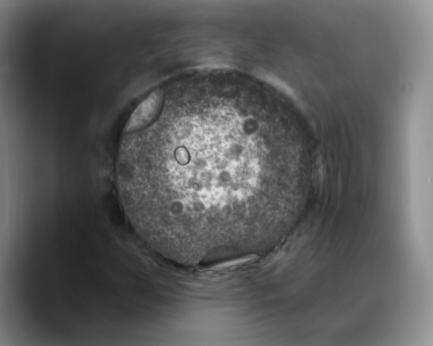 X0000089701255200707201733