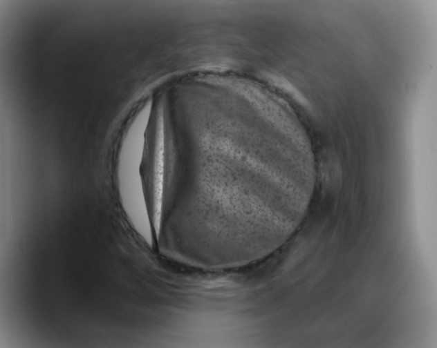 X0000089701256200707201733