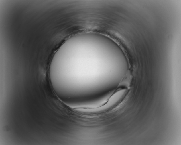 X0000089701257200707201733