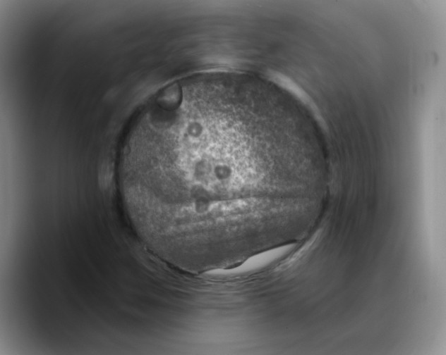 X0000089701259200707201733