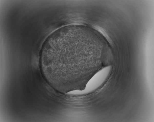 X0000089701260200707201733