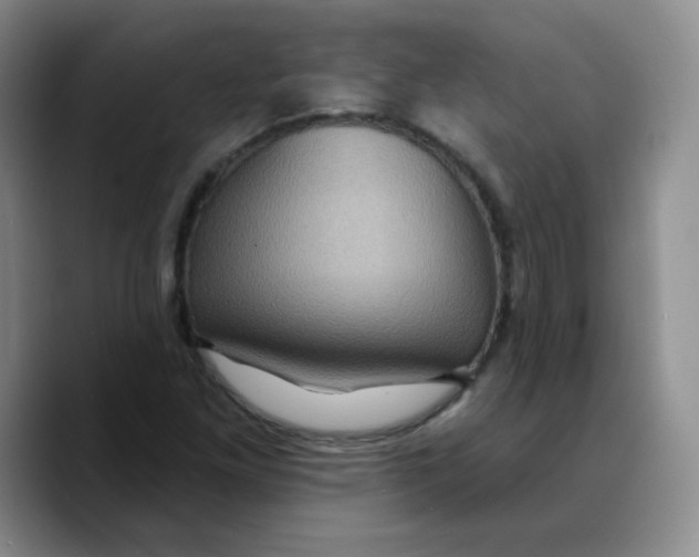 X0000089701261200707201733