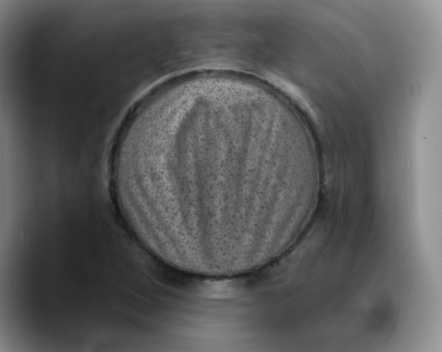 X0000089701264200707201733