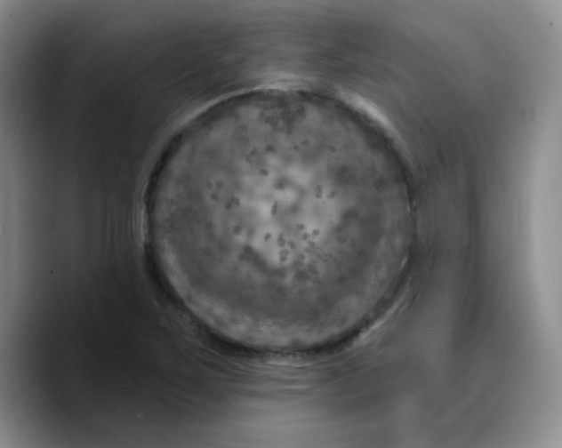 X0000089701267200707201733