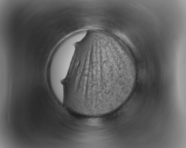 X0000089701268200707201733