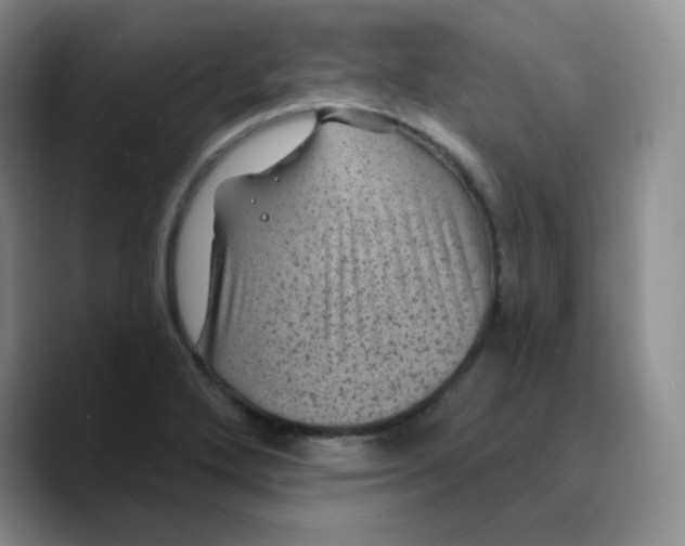 X0000089701272200707201733