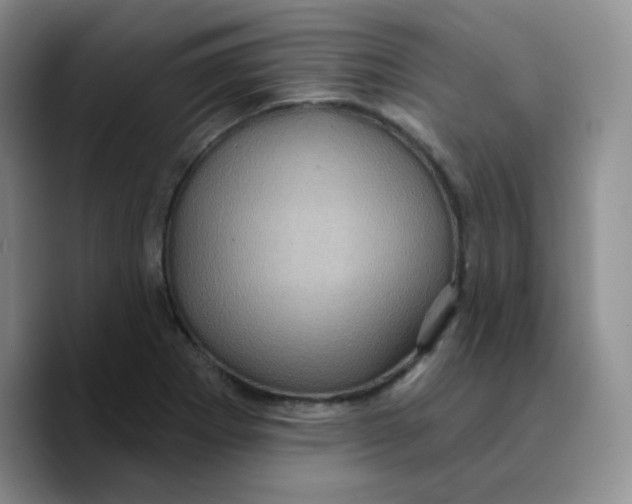X0000089701273200707201733