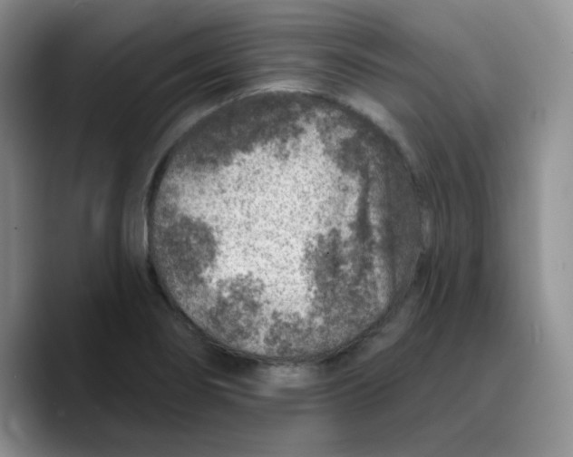 X0000089701274200707201733