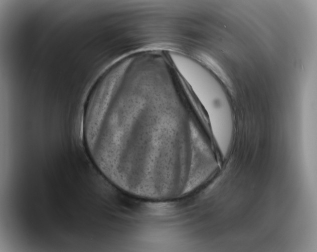 X0000089701276200707201733