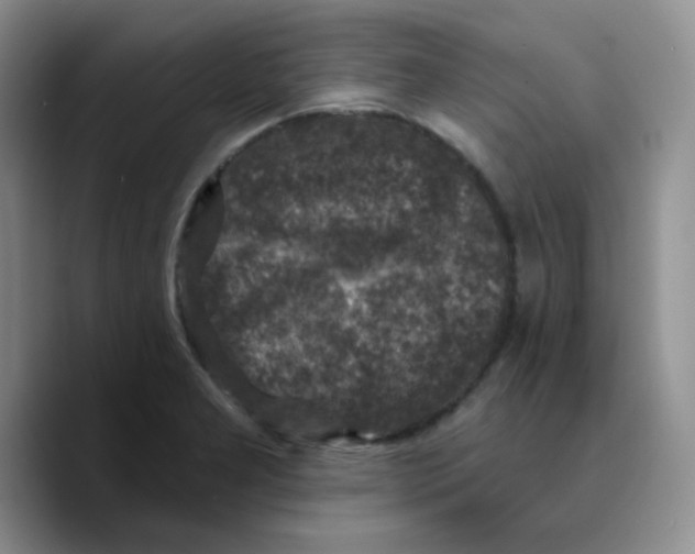 X0000089701277200707201733