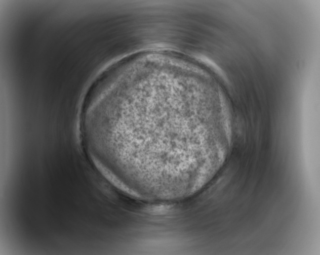 X0000089701278200707201733