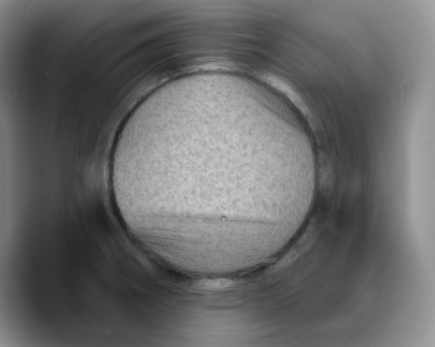 X0000089701282200707201733