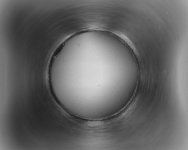 X0000089701285200707201733