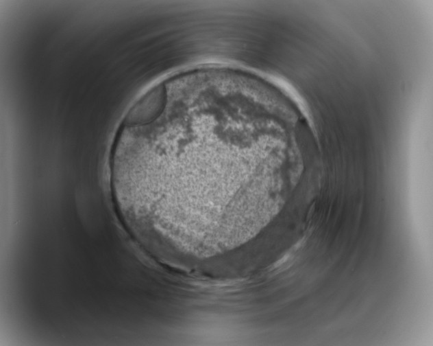 X0000089701287200707201733