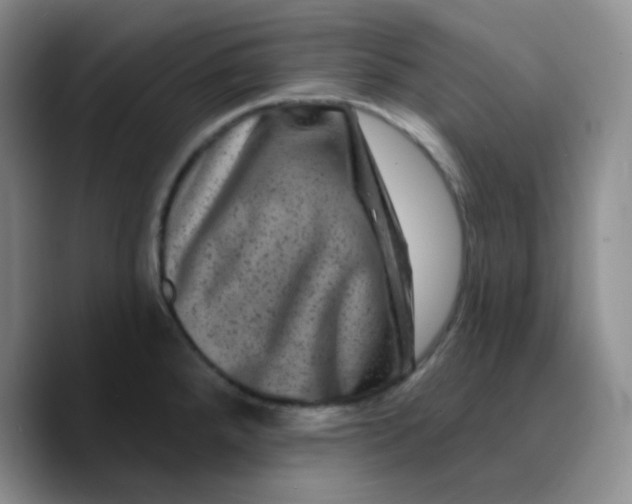 X0000089701288200707201733