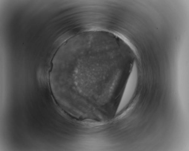 X0000089701289200707201733