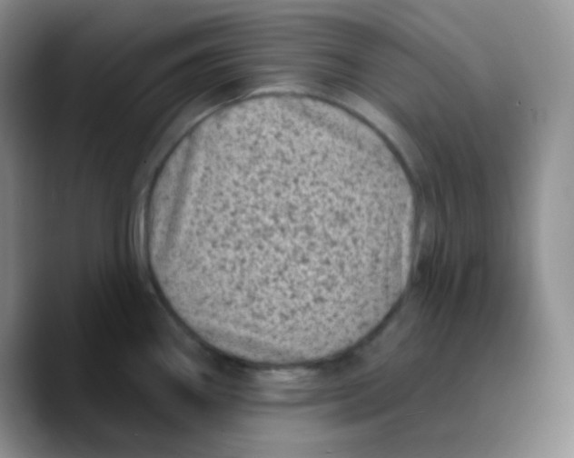 X0000089701290200707201733