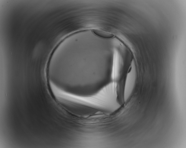 X0000089701291200707201733