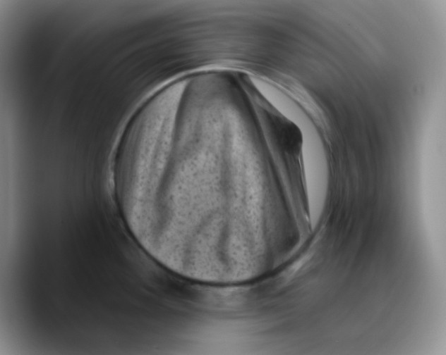 X0000089701292200707201733
