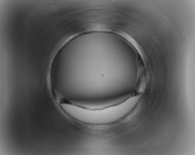 X0000089701293200707201733
