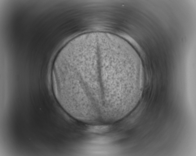 X0000089701294200707201733