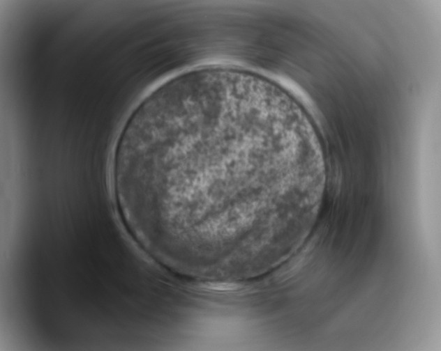 X0000089701295200707201733
