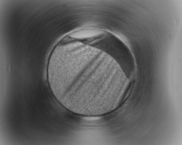 X0000089701296200707201733
