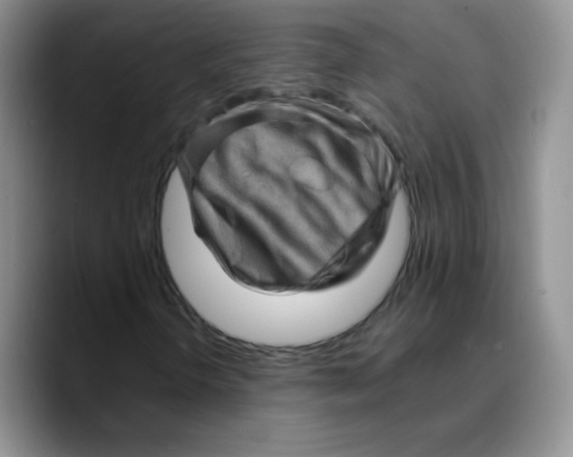 X0000089701298200707201732