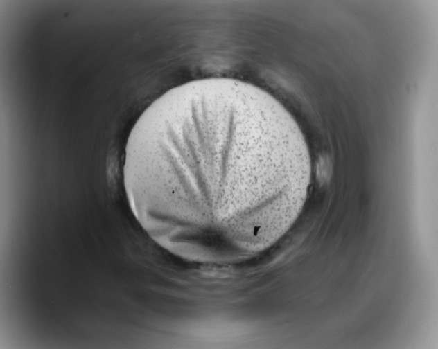 X0000089701299200707201732