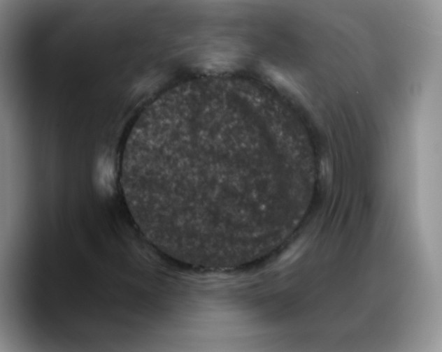 X0000089701300200707201732