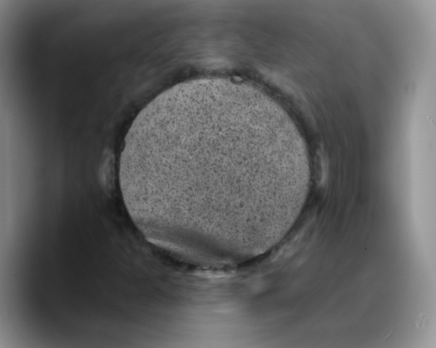 X0000089701301200707201732