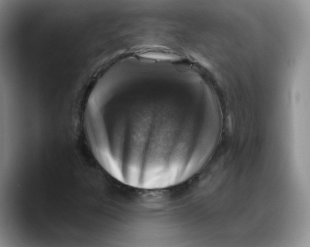 X0000089701303200707201732