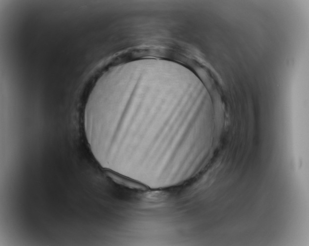 X0000089701304200707201732