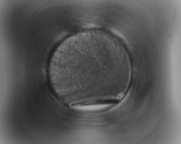 X0000089701305200707201732