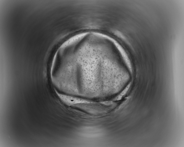 X0000089701307200707201732