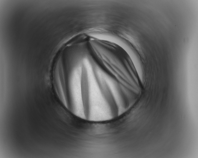 X0000089701308200707201732
