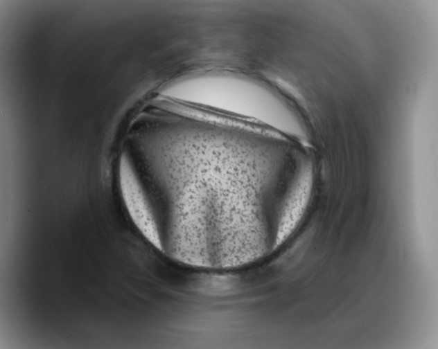 X0000089701309200707201732