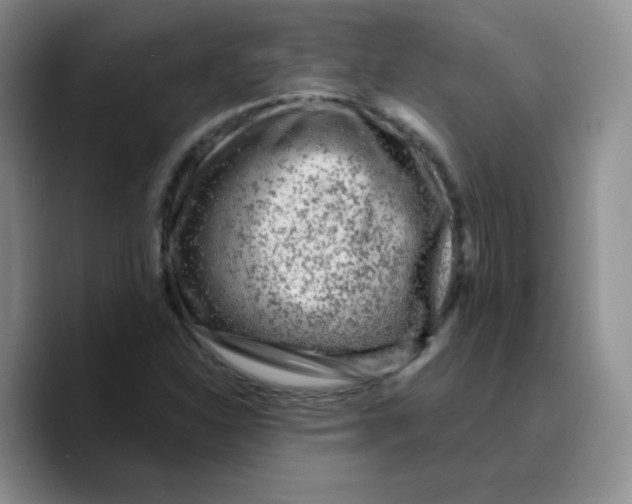 X0000089701310200707201732