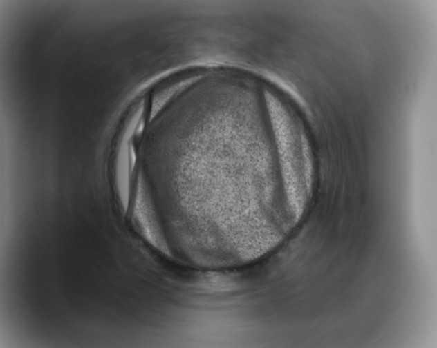 X0000089701311200707201732