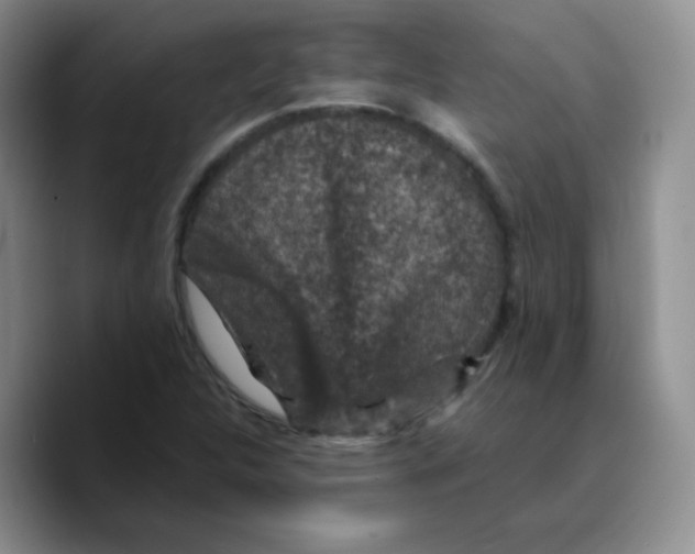 X0000089701312200707201732