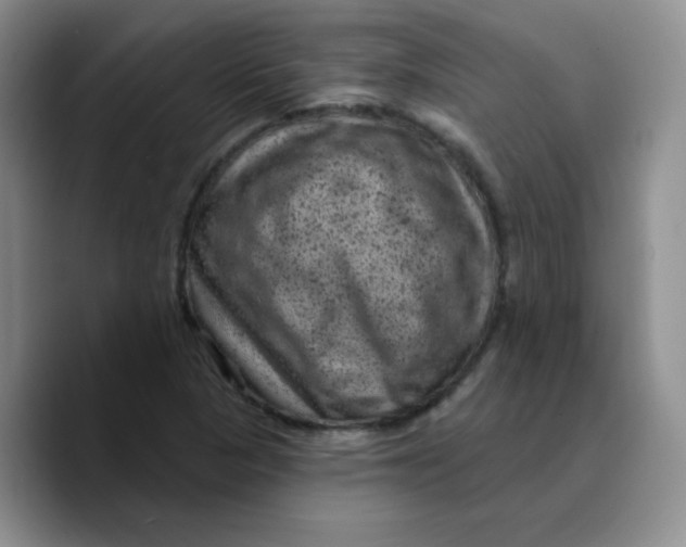 X0000089701313200707201732