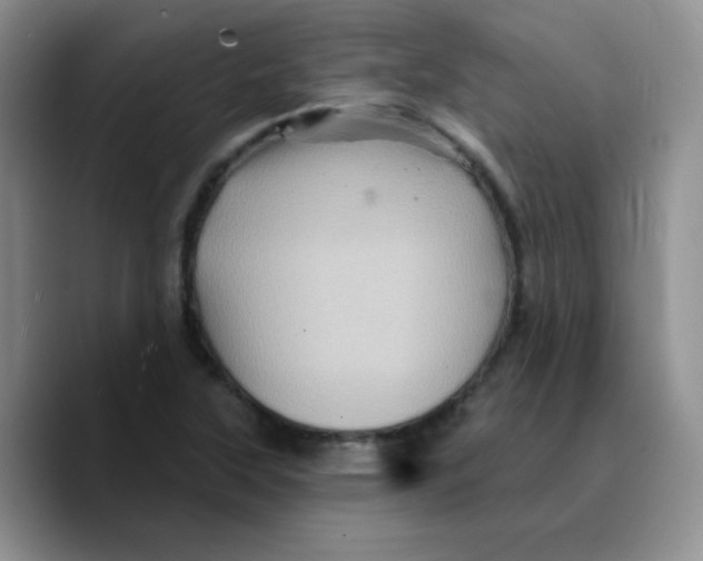 X0000089701315200707201732