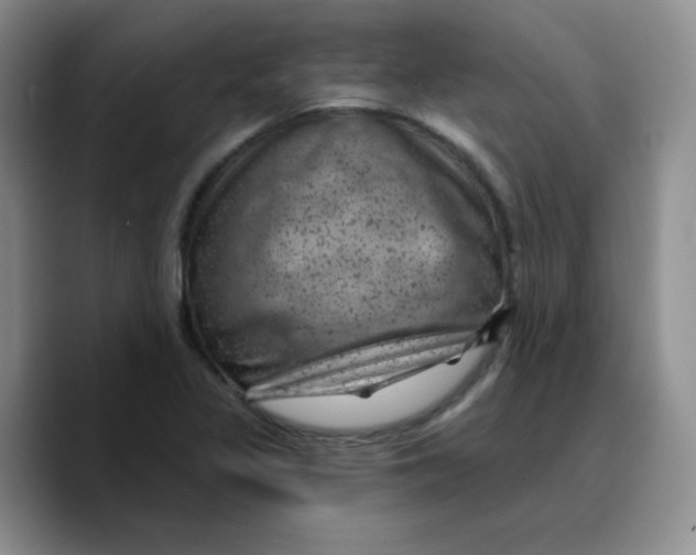 X0000089701317200707201732