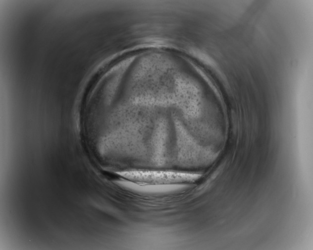X0000089701318200707201732