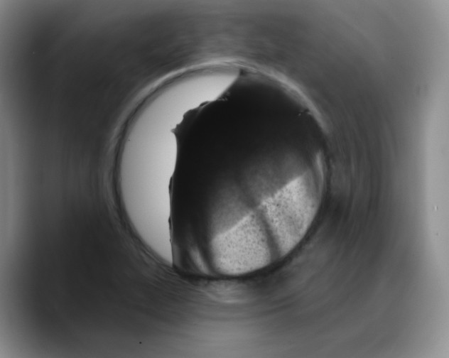X0000089701319200707201732