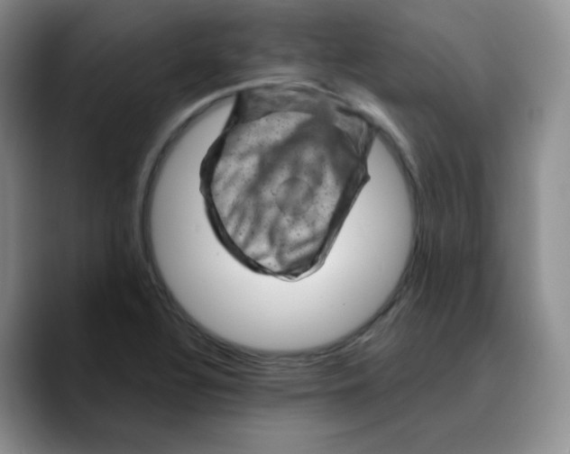 X0000089701320200707201732