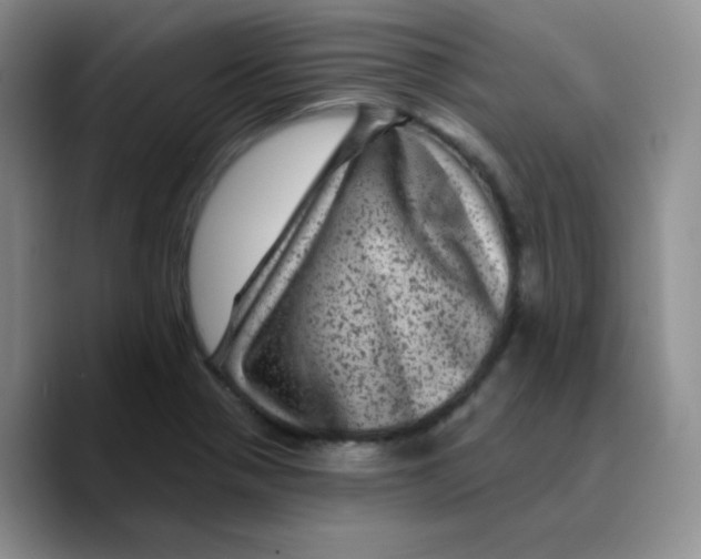 X0000089701321200707201732