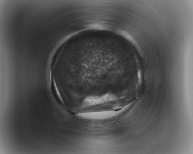 X0000089701323200707201732